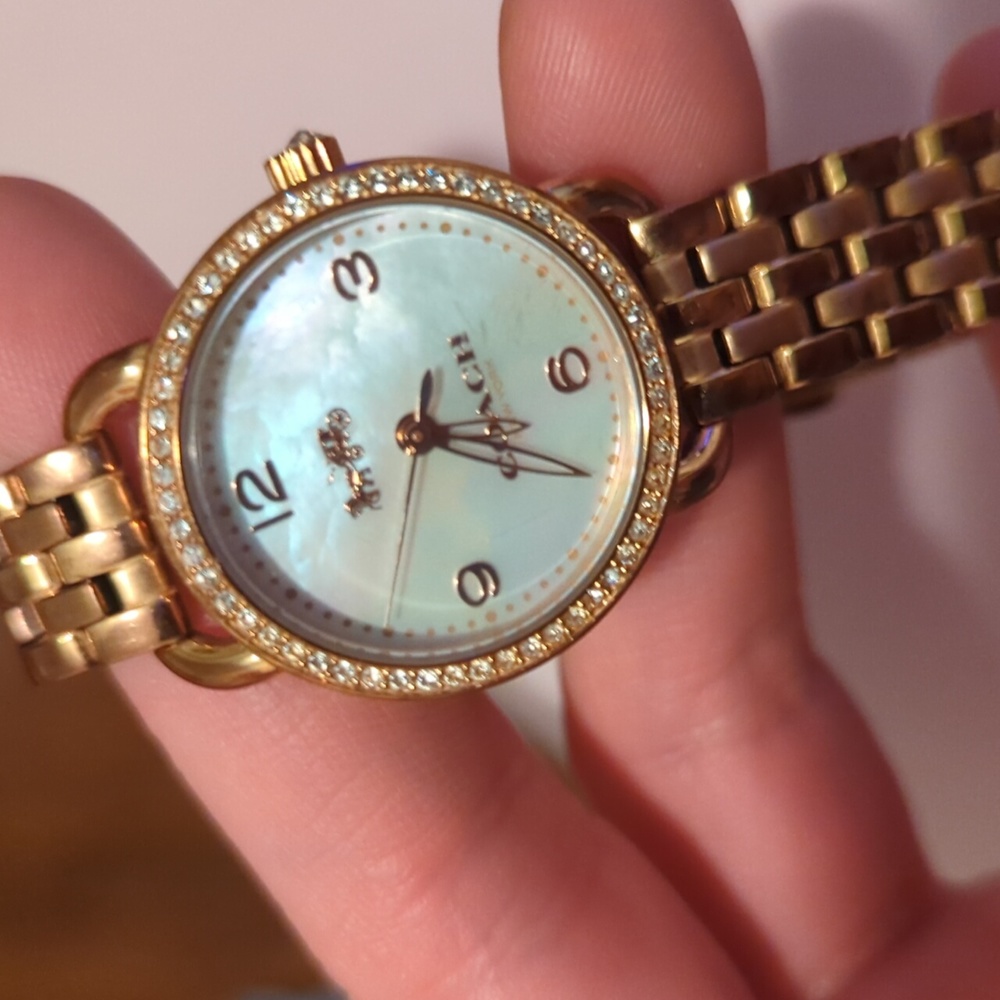 Coach watch